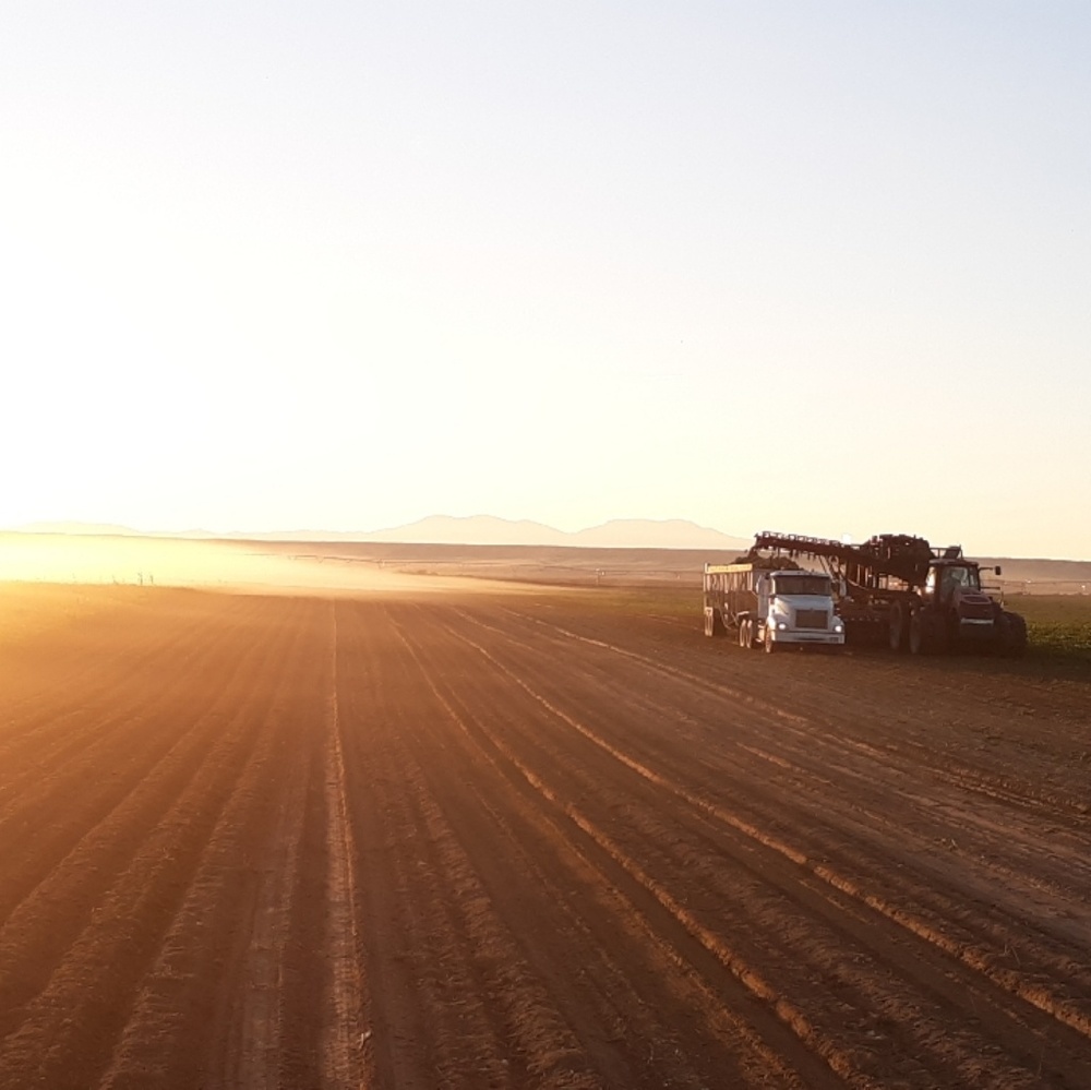 Meet your Posher, Beth